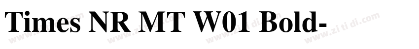 Times NR MT W01 Bold字体转换 Times NR MT W01 Bold字体转换